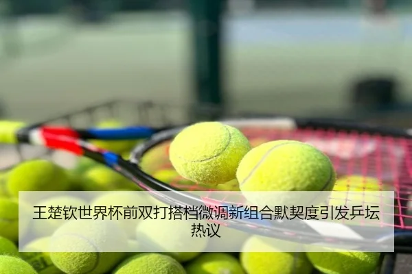 王楚钦世界杯前双打搭档微调新组合默契度引发乒坛热议